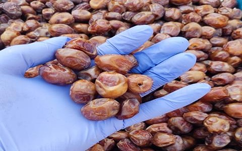 تصویر 3 از خرید و قیمت خرما پیارم درجه یک + فروش صادراتی